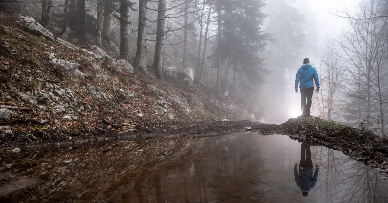 A man walking in a forest may connect with his intuition. A man walking in a forest may connect with his intuition.