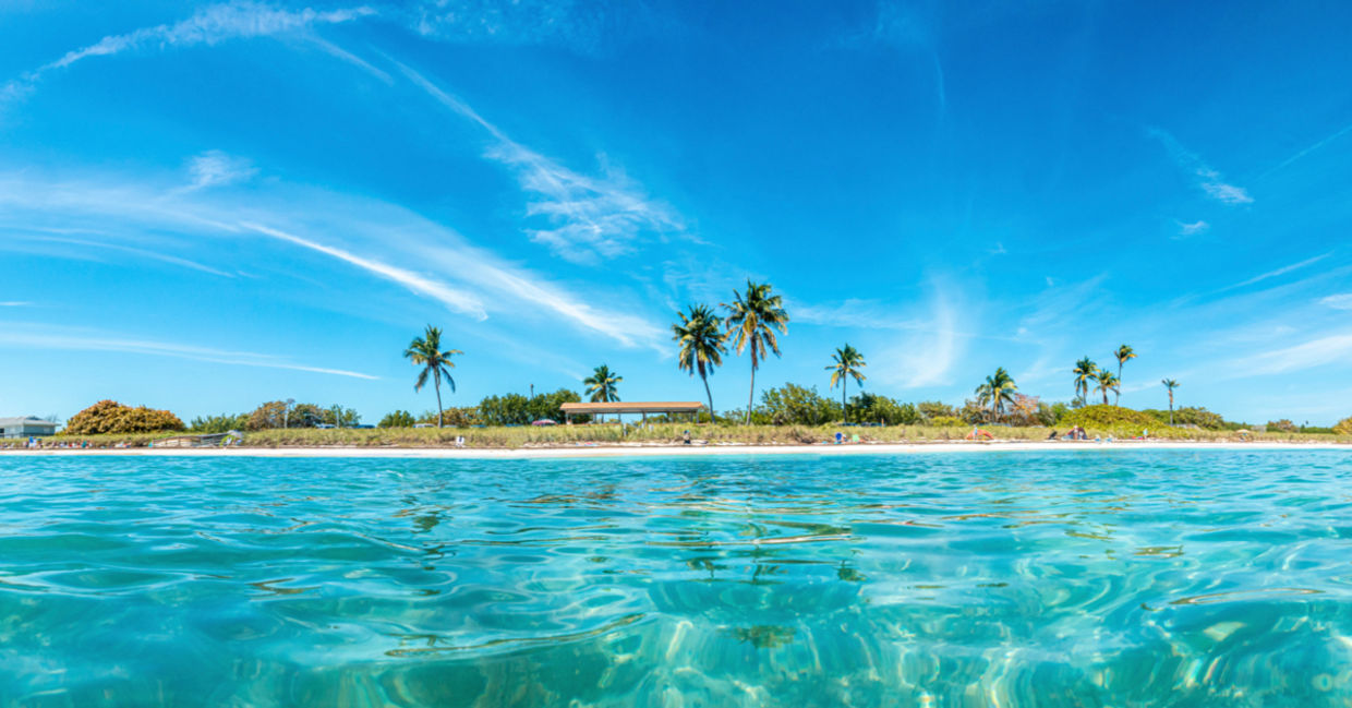 The Florida Keys hosts crabs who are cleaning the coral reef ecosystem. The Florida Keys hosts crabs who are cleaning the coral reef ecosystem.