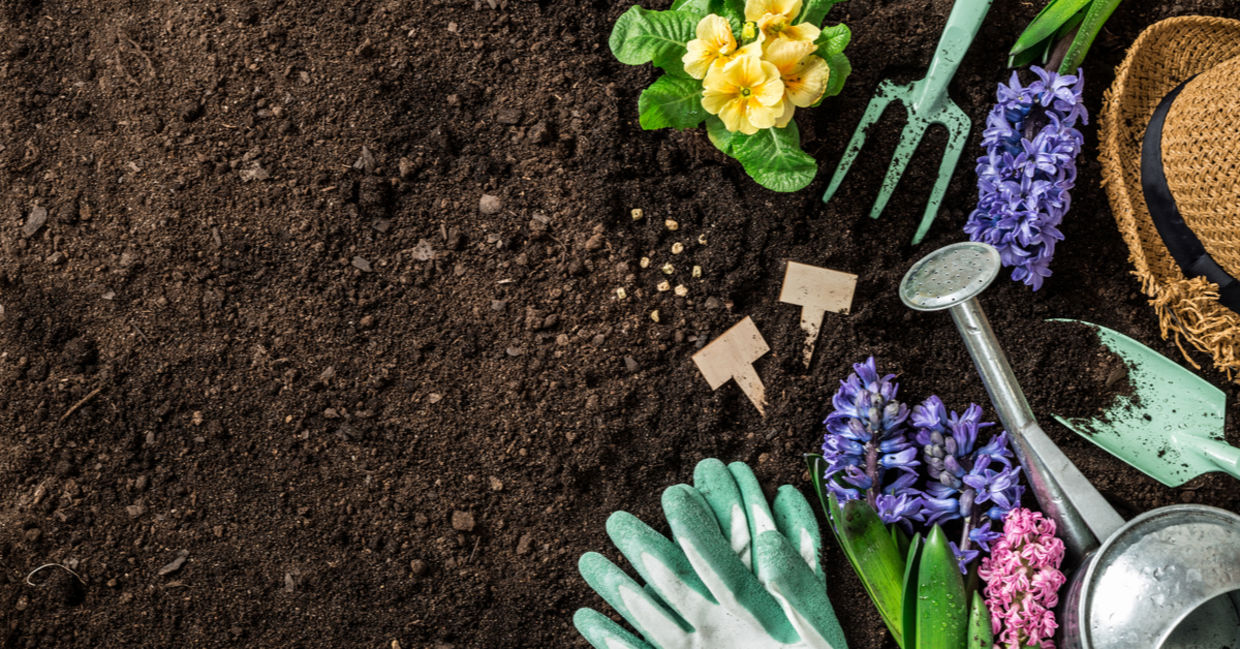 Getting ready to plant backyard lanscaping. Getting ready to plant backyard lanscaping.