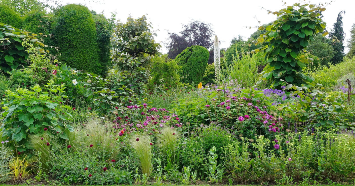 Backyard landscaping using permaculture. Backyard landscaping using permaculture.