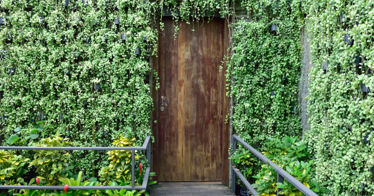 Use a vertical garden in your backyard landscaping. Use a vertical garden in your backyard landscaping.
