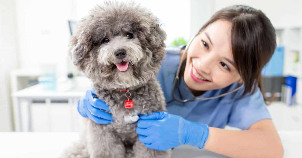 Finding fulfillment at work Finding fulfillment at work