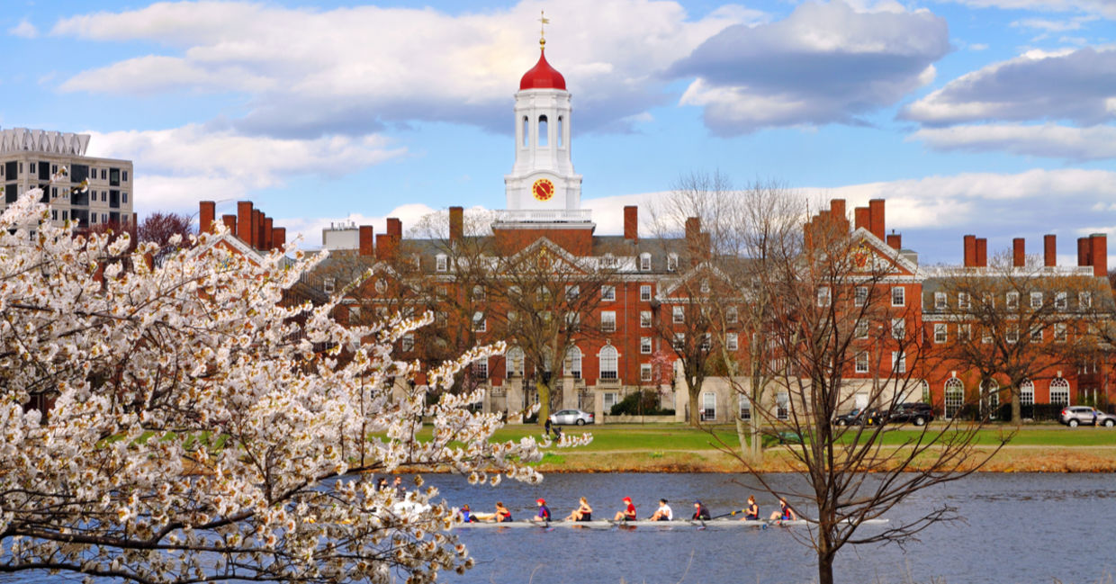 A college campus in the spring A college campus in the spring