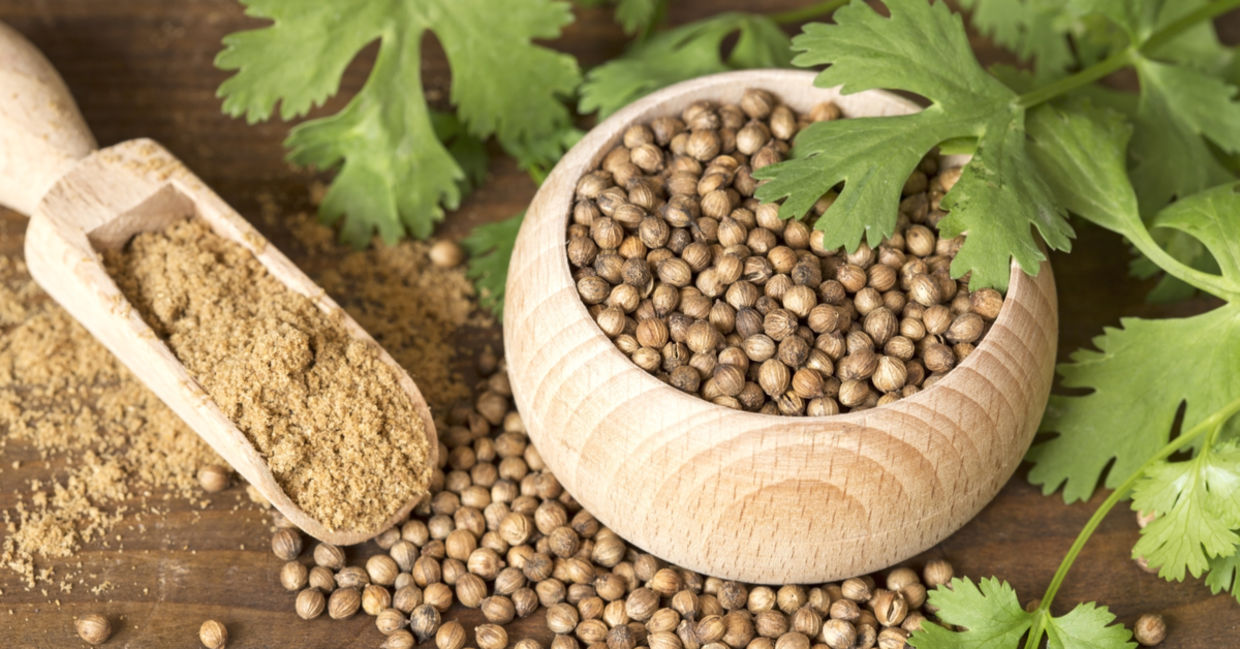 Coriander can replace salt. Coriander can replace salt.