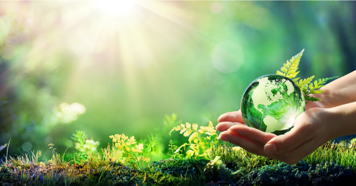 Earth and the environment. Earth and the environment.
