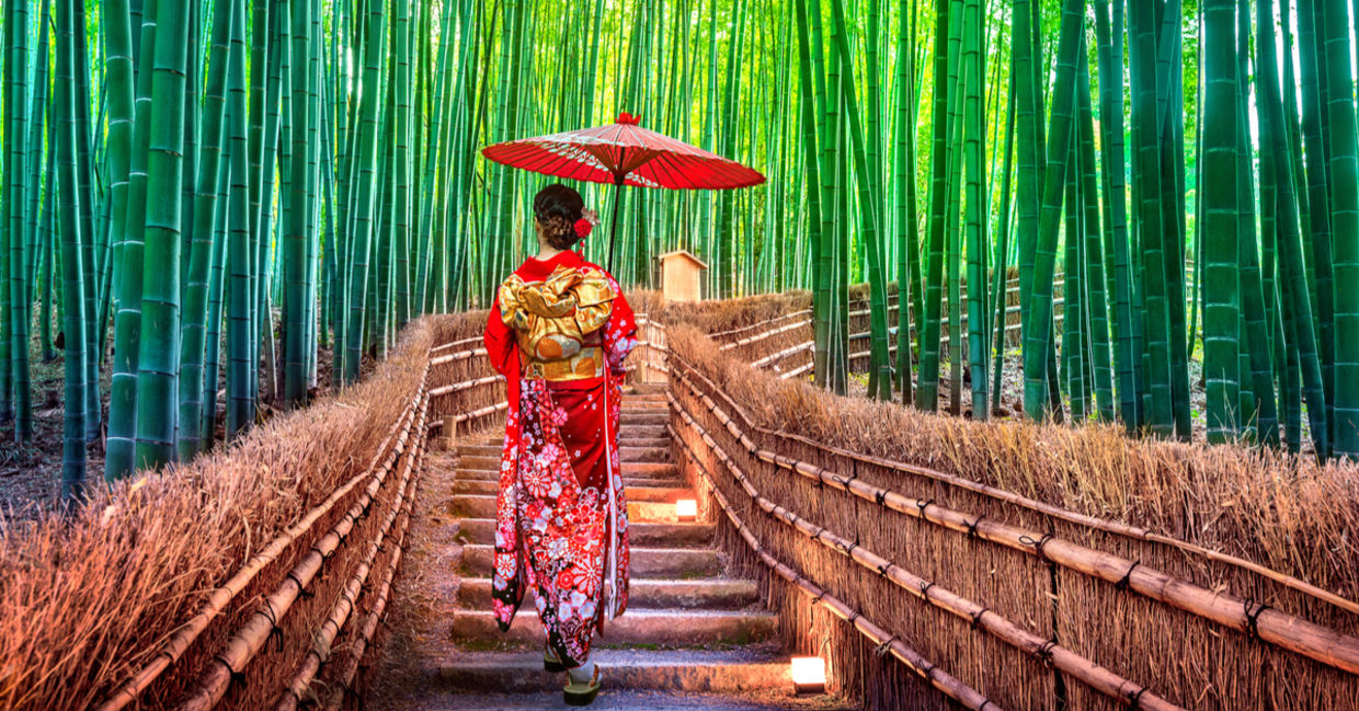 A Japanese woman in kimono enjoys exercise as she walks through a bamboo forest. A Japanese woman in kimono enjoys exercise as she walks through a bamboo forest.