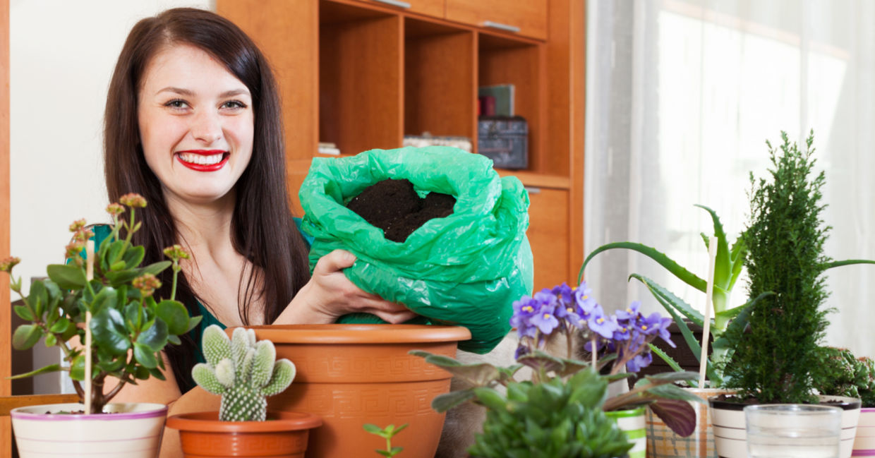 Indoor gardening