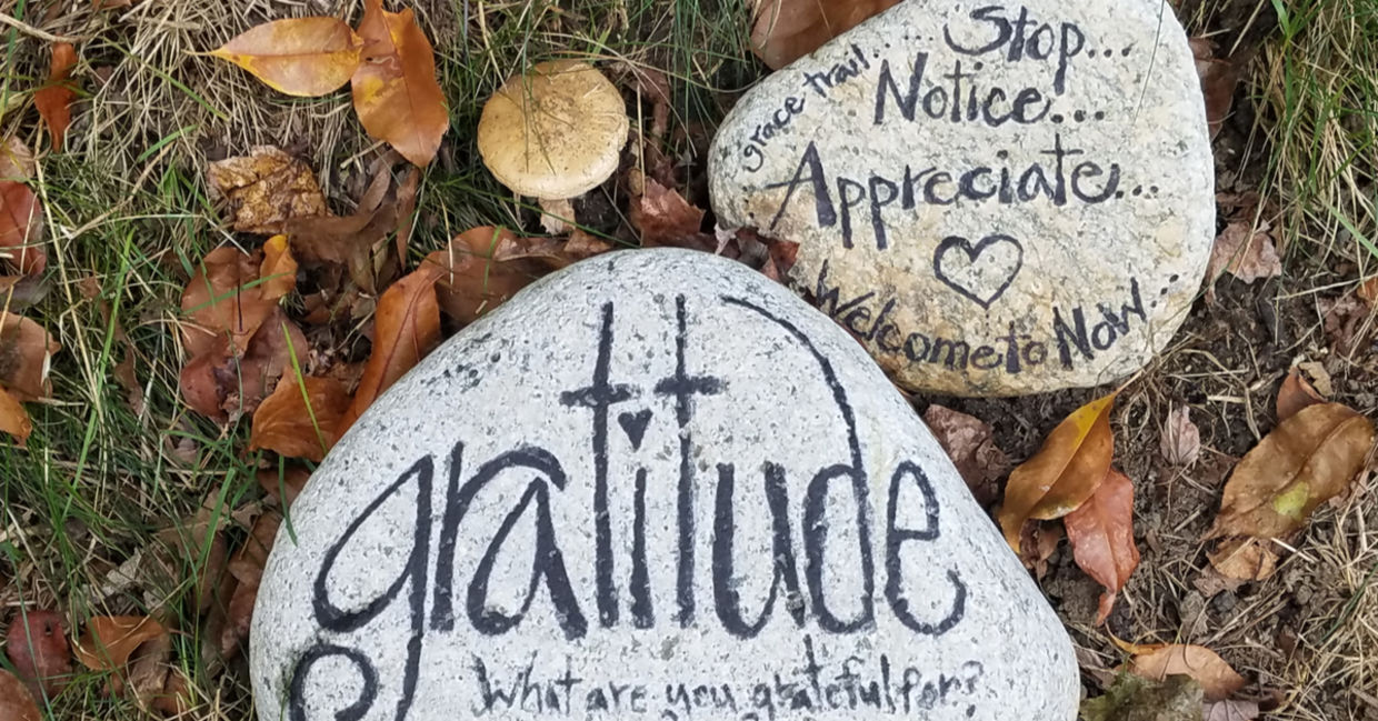 Words of appreciation written on stones read Gratitude, Stop, Notice, and Welcome to Now! Words of appreciation written on stones read Gratitude, Stop, Notice, and Welcome to Now!