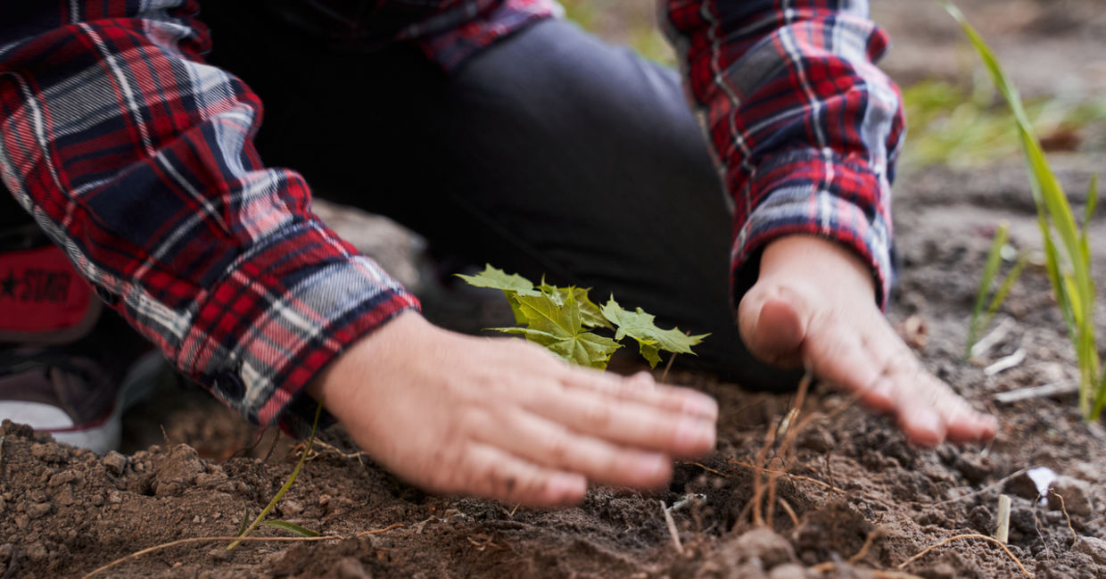Youngster planting Youngster planting
