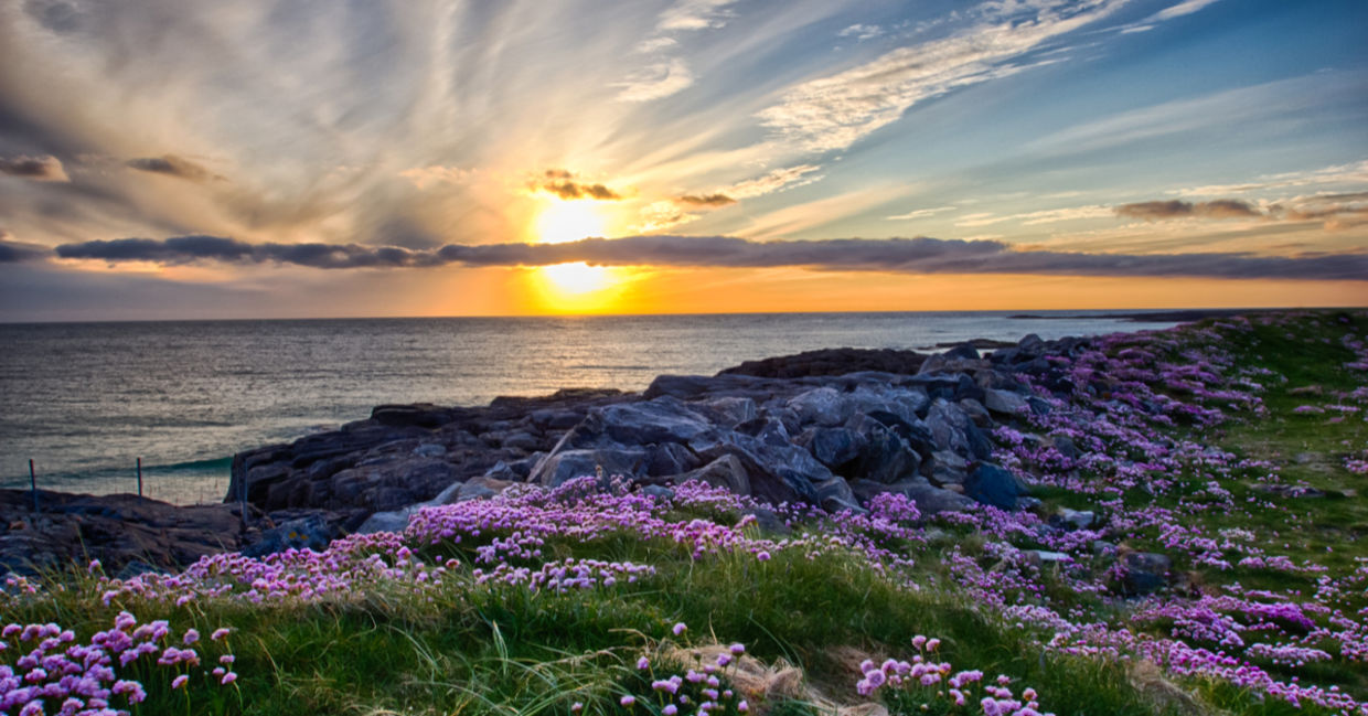 Landscape at sunset Landscape at sunset