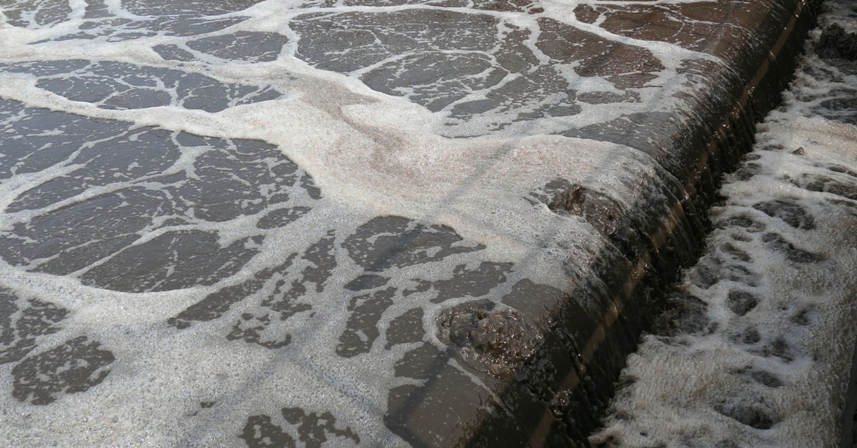 Sewage farm