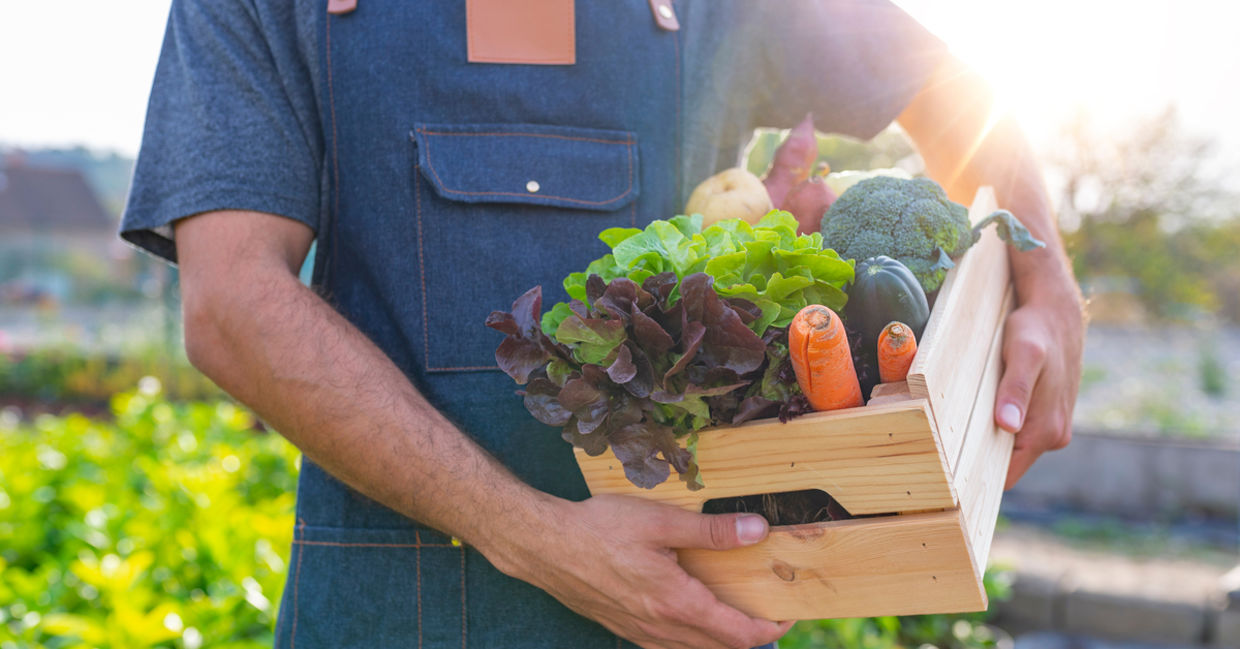 Sustainable food.