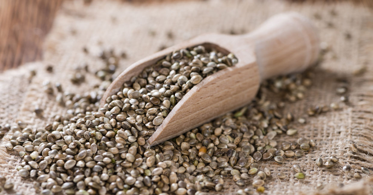 Hemp seeds Hemp seeds