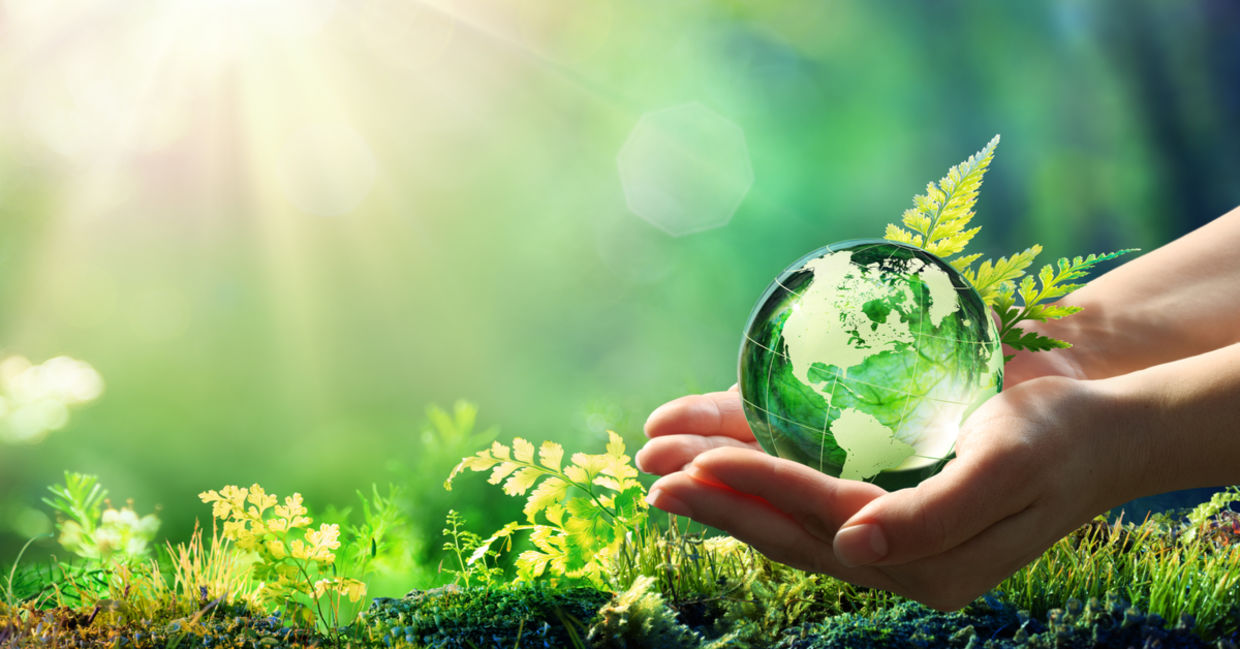 Sustainability is in our hands. Sustainability is in our hands.