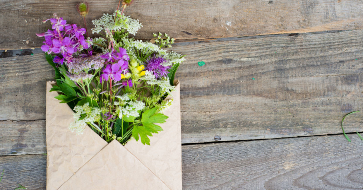 A bunch of wildflowers