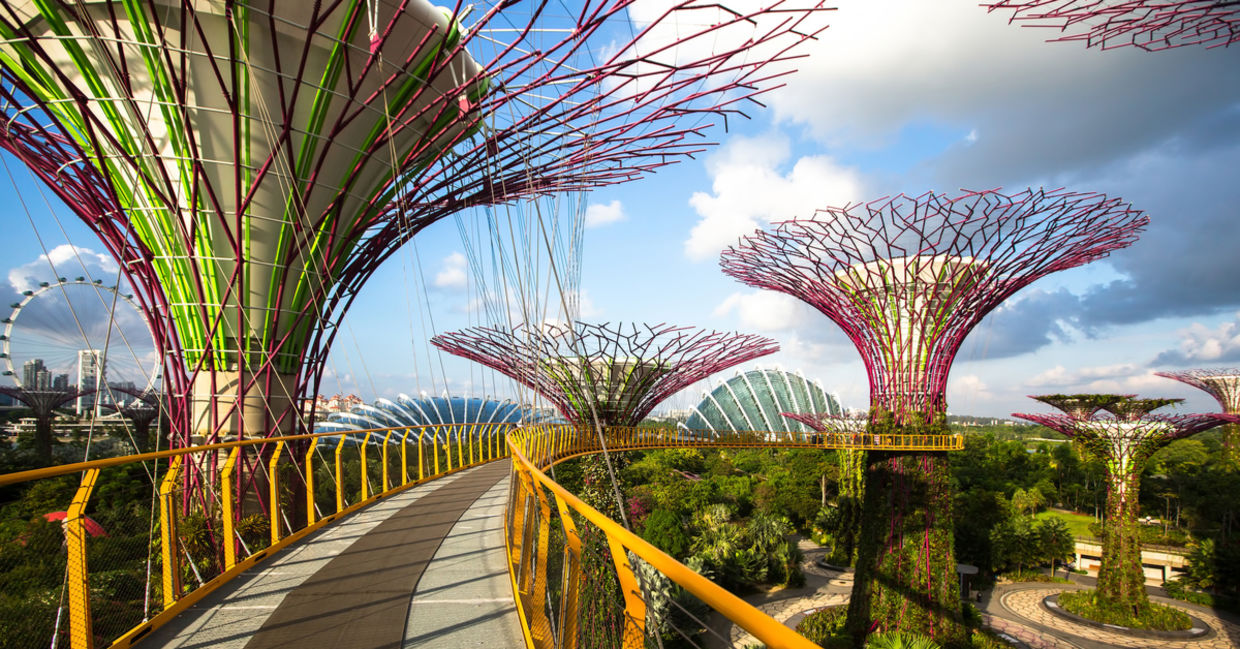 The bridge at Gardens by the Bay. The bridge at Gardens by the Bay.