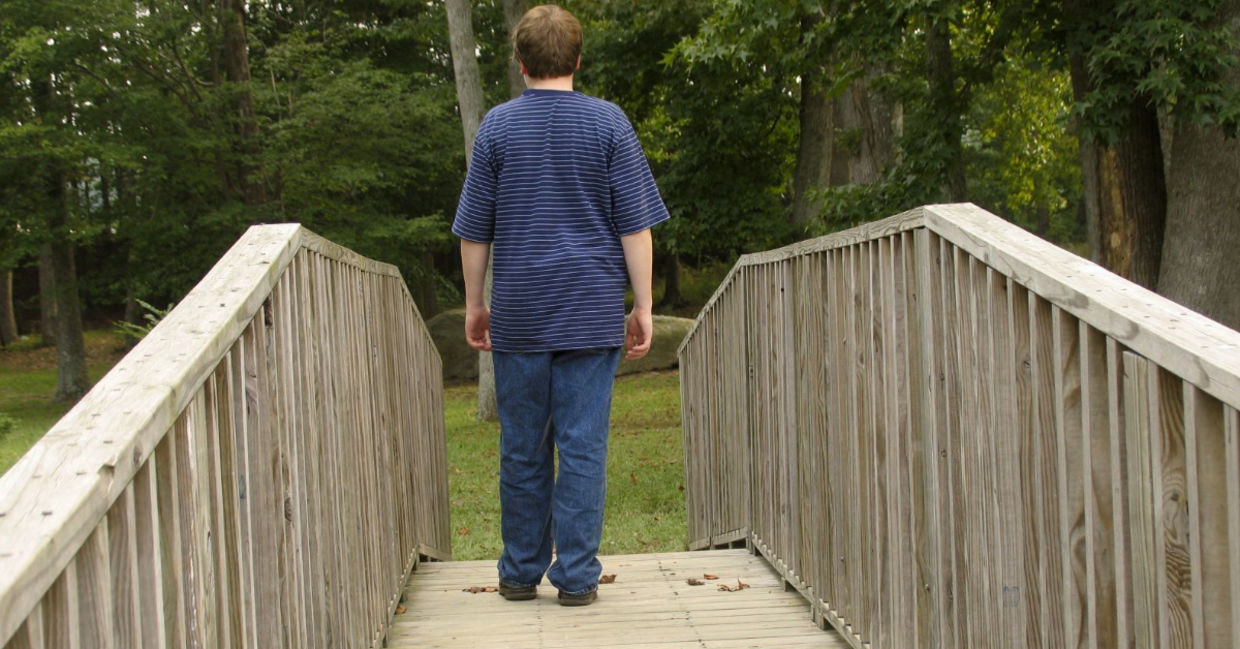 The bridge in-between. The bridge in-between.