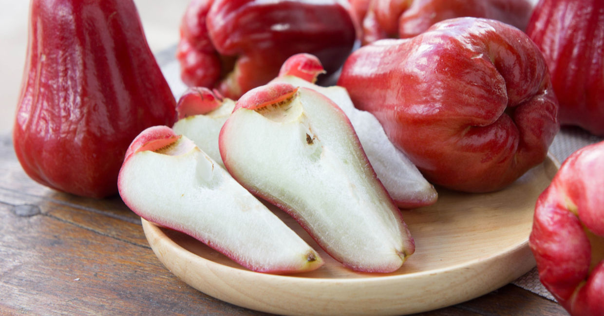 Rose apples are a healthy exotic fruit. Rose apples are a healthy exotic fruit.