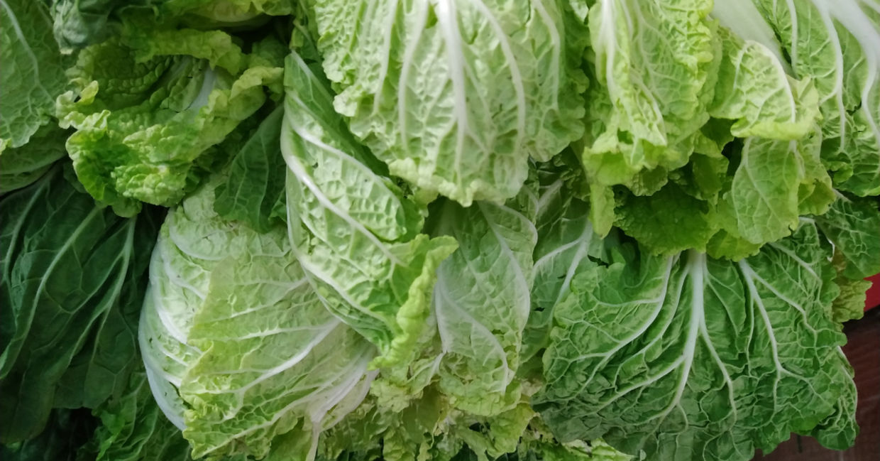 Eat chicory for better gut health. Eat chicory for better gut health.