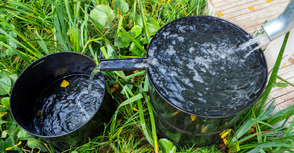 Rainwater flows into a water barrel. Rainwater flows into a water barrel.