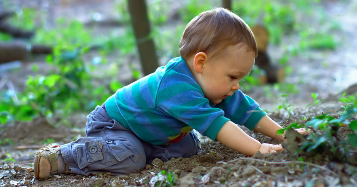 A baby plays in nature A baby plays in nature
