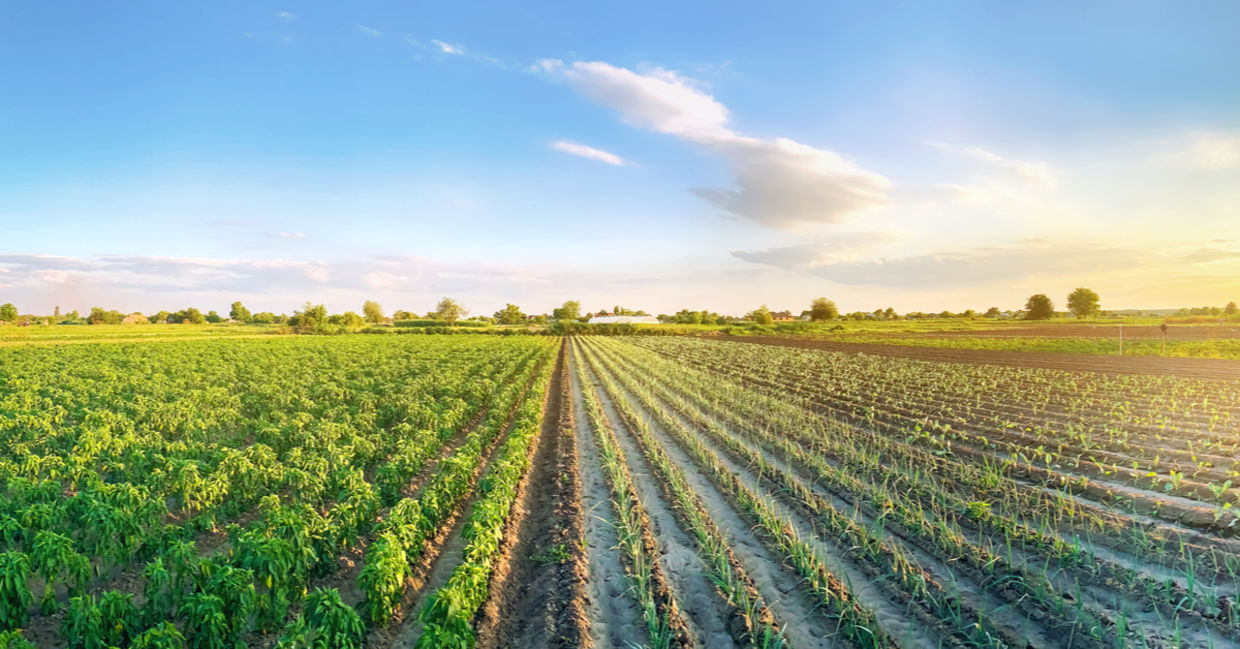 Eco-friendly farming. Eco-friendly farming.