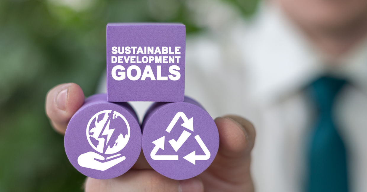 UN Sustainable Development Goals. UN Sustainable Development Goals.