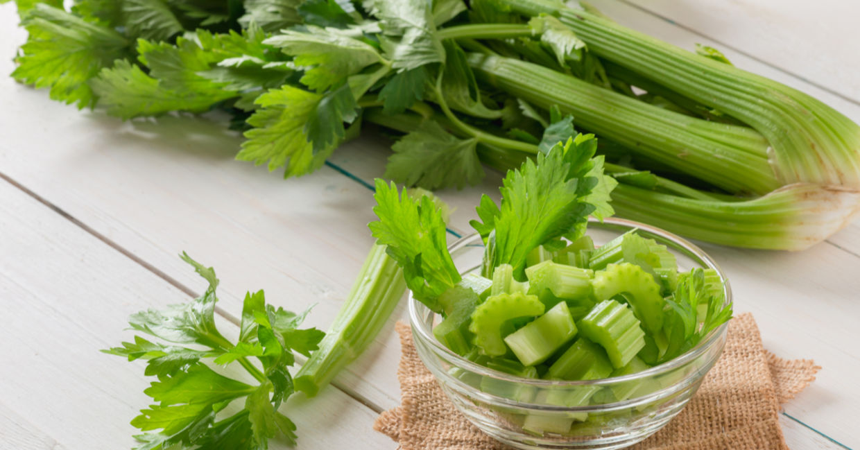 Celery stems and leaves Celery stems and leaves