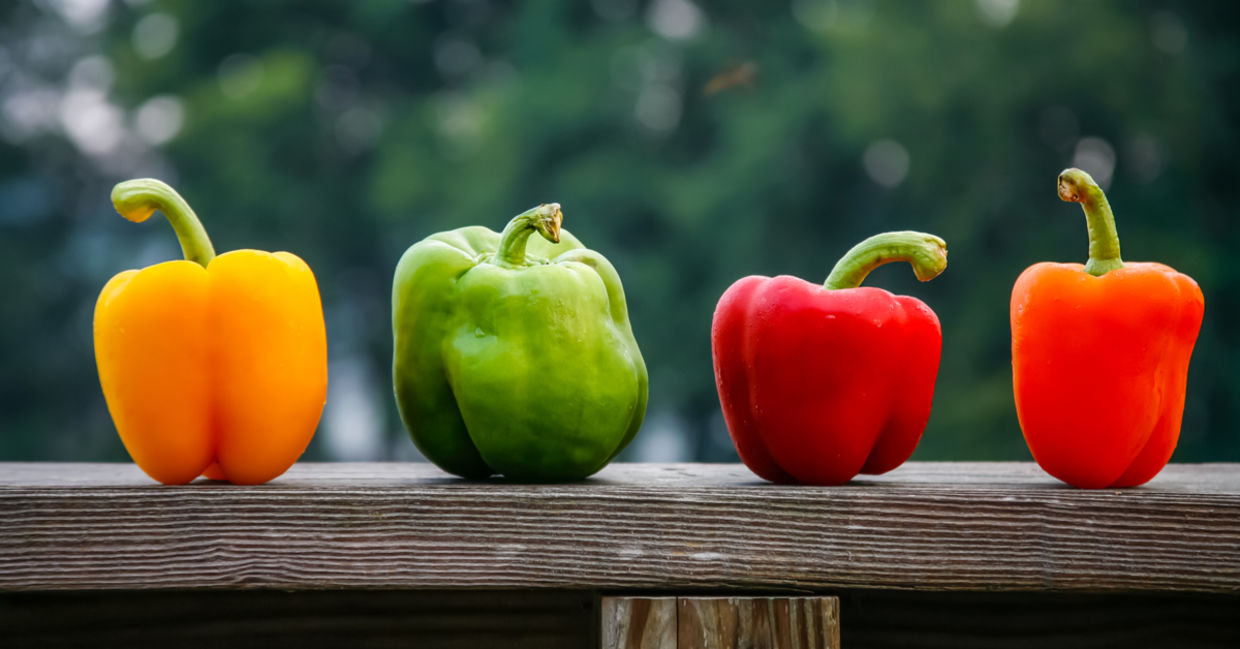 Bell peppers of various colors Bell peppers of various colors