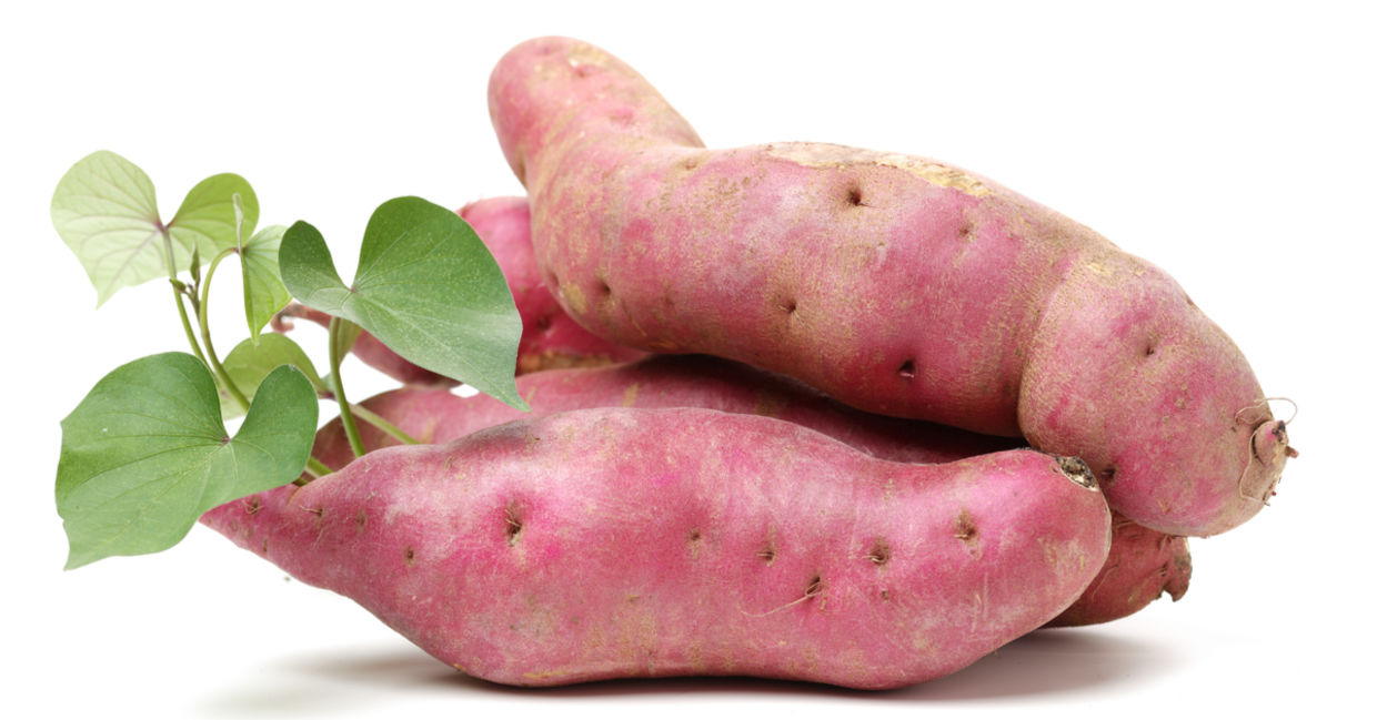 Sweet potatoes with leaves Sweet potatoes with leaves