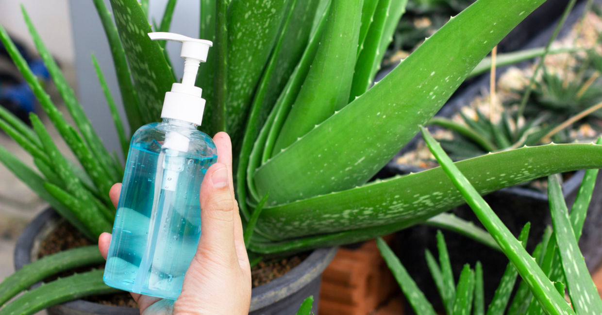 Hand sanitizer that contains aloe. Hand sanitizer that contains aloe.