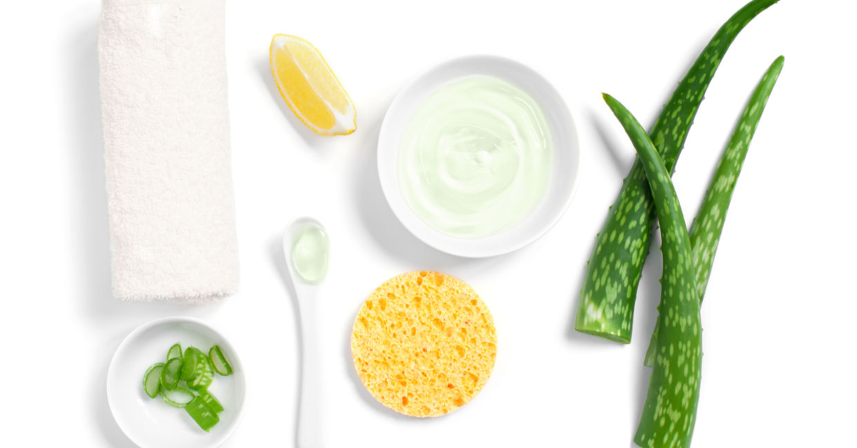 Skin care products contain aloe vera. Skin care products contain aloe vera.