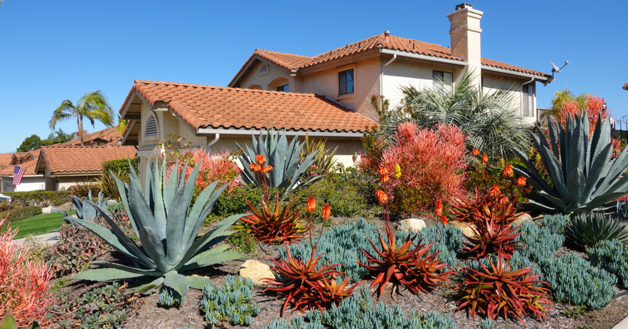 This home has drought-resistant landscaping. This home has drought-resistant landscaping.