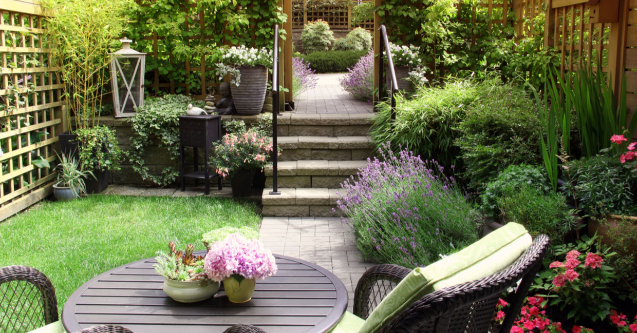 Lavender by the patio will keep the bugs away. Lavender by the patio will keep the bugs away.