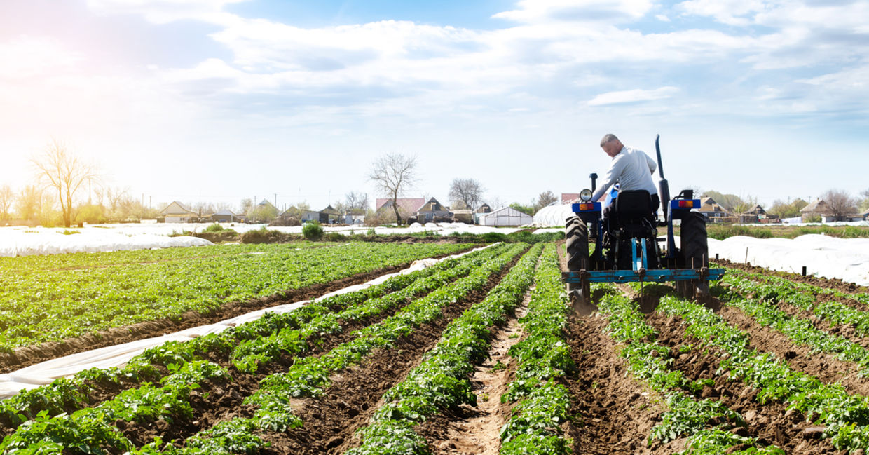 Today's farm. Today's farm.