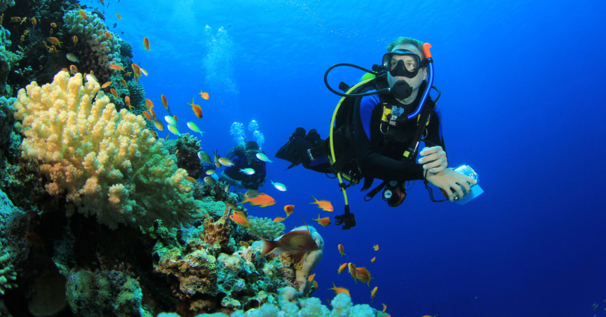 Scuba diver near a coral reef. Scuba diver near a coral reef.