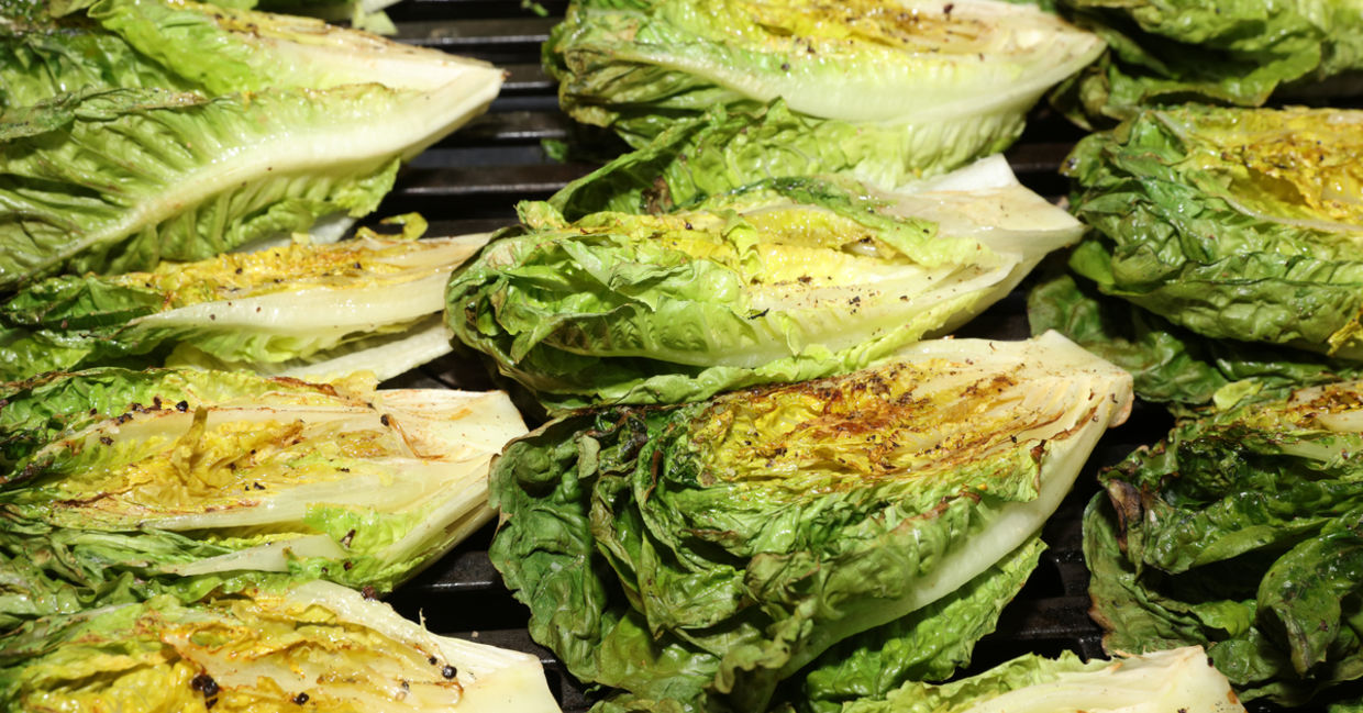 Grilled lettuce is part of a healthy meal. Grilled lettuce is part of a healthy meal.