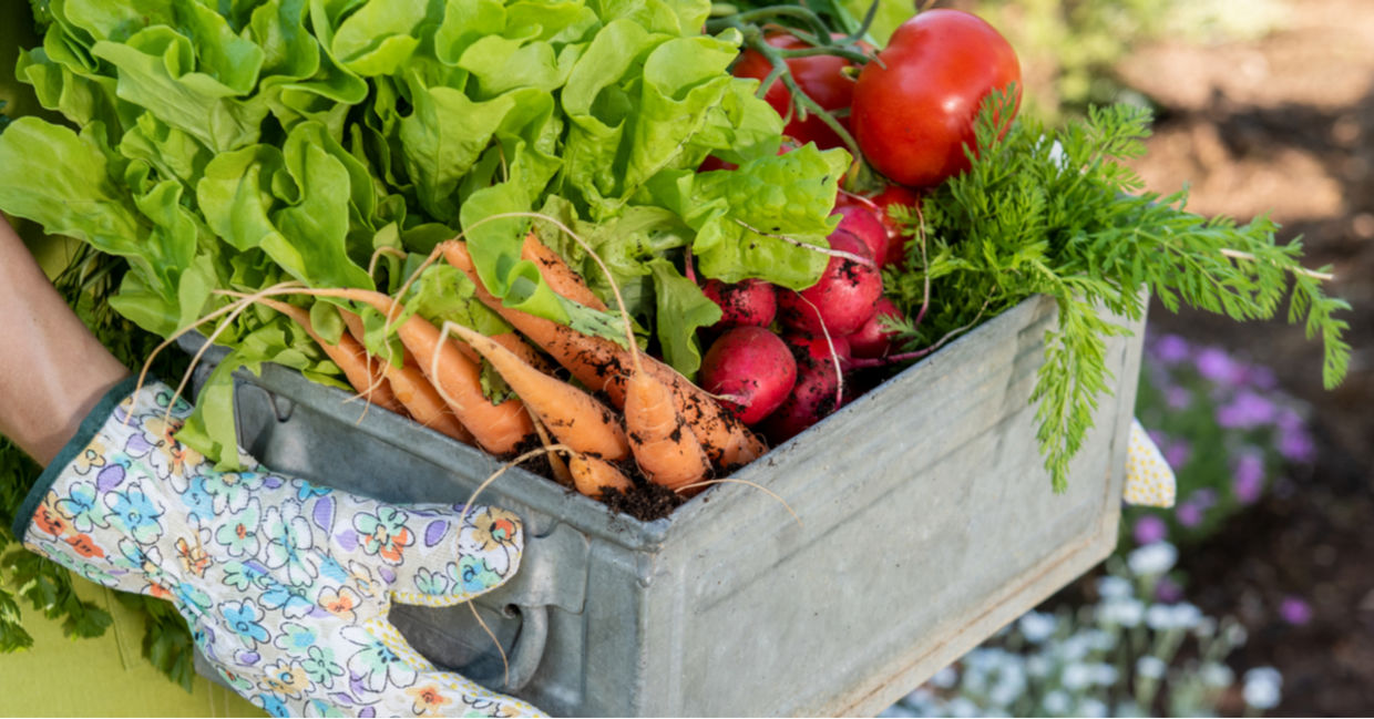 Home grown produce. Home grown produce.