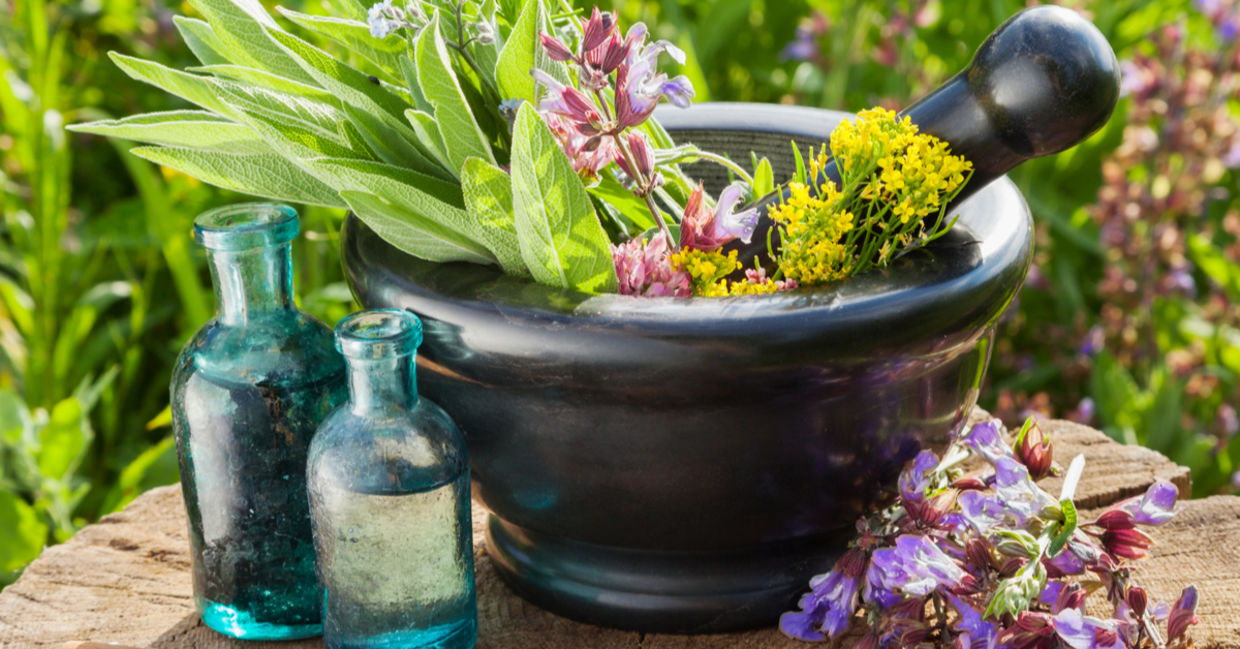 Natural herbal remedies Natural herbal remedies