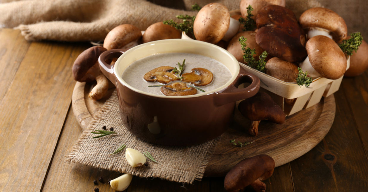 Mushroom soup is good for your health. Mushroom soup is good for your health.