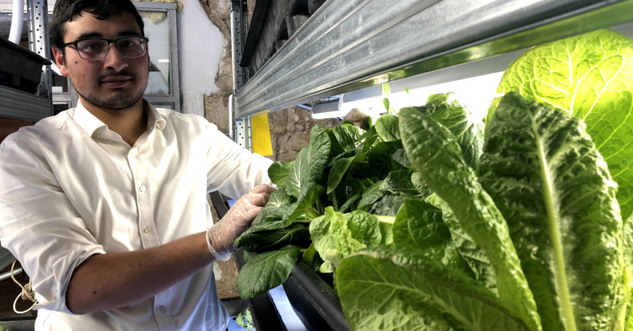 Student stands next to hydroponic lettuce Student stands next to hydroponic lettuce