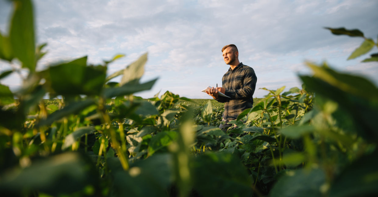 Modern farming.