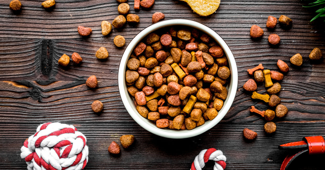 Dog food.