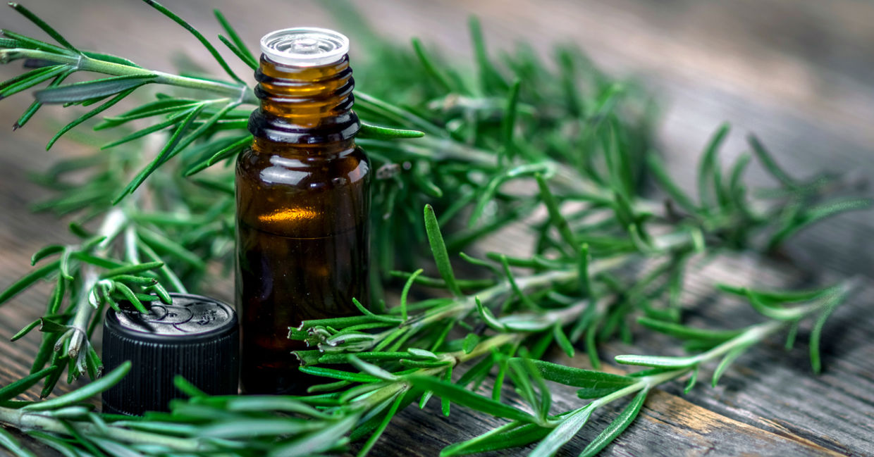 Rosemary essential oil. Rosemary essential oil.