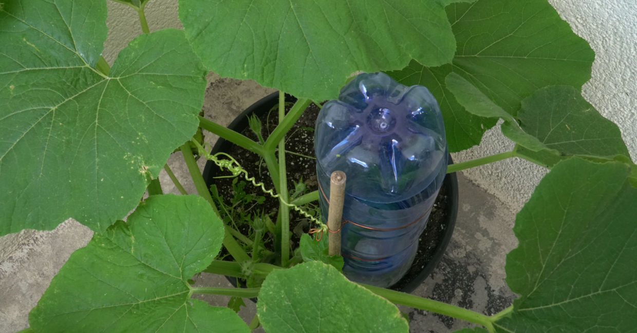 Simple, homemade watering automation system using a plastic bottle. Simple, homemade watering automation system using a plastic bottle.
