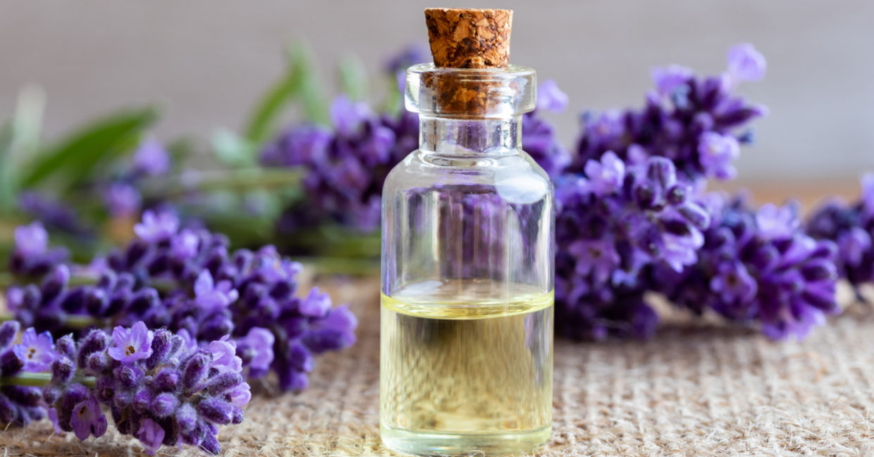 Make your home smell cleaner naturally. Make your home smell cleaner naturally.