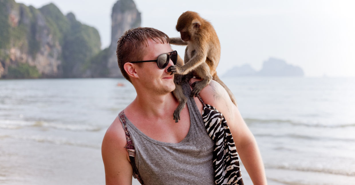 Monkeys can be trained as service animals. Monkeys can be trained as service animals.
