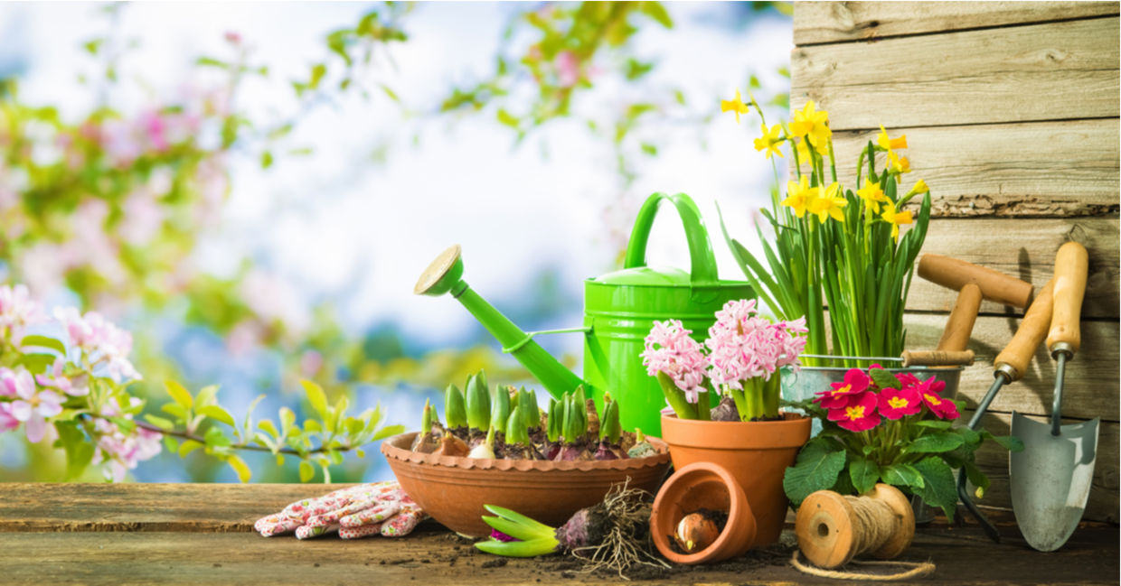 Gardening is a relaxing hobby. Gardening is a relaxing hobby.