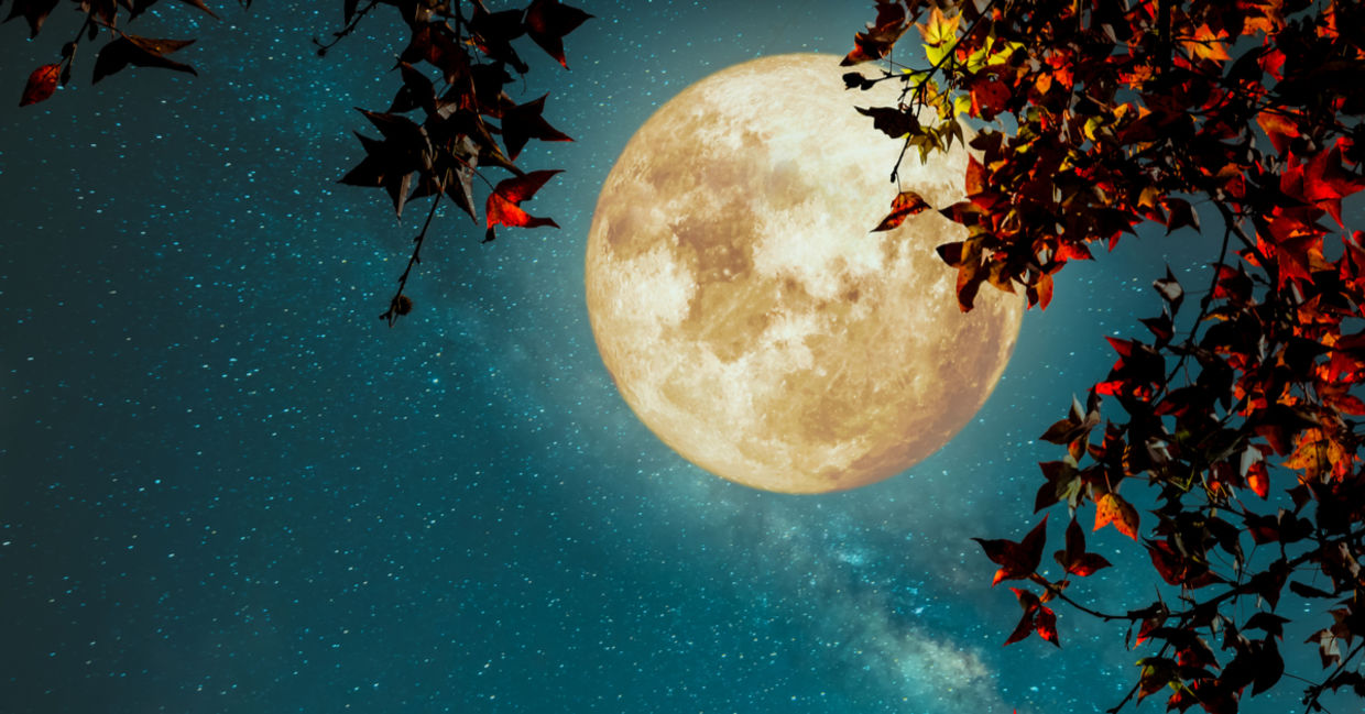 The Harvest Moon appears in the fall.