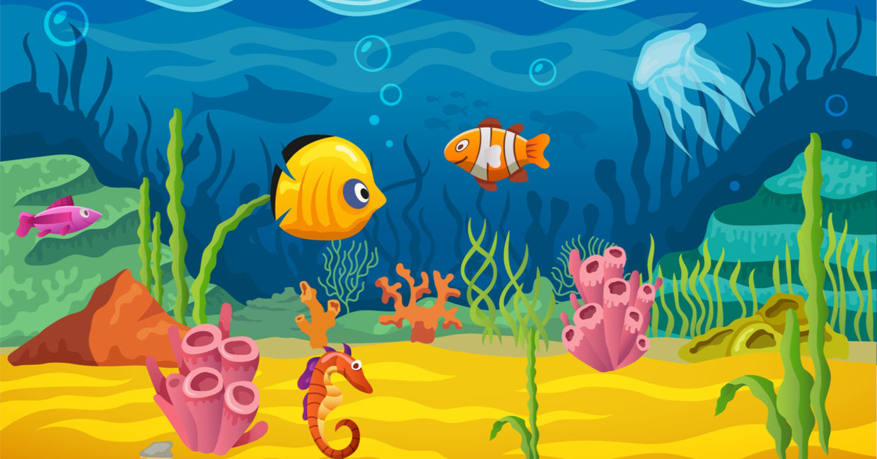 Aquatic animals. Aquatic animals.